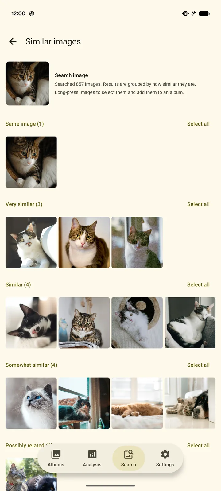 A screen showing photos that look like a chosen cat photo, grouped by how similar they are